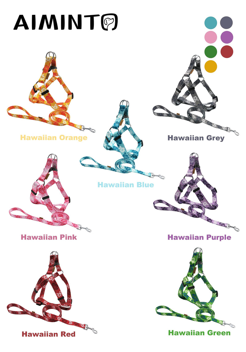 Dog Halter Harness and Leash Set, Cute Floral Patterns, Soft and Adjustable Harness, Step in, Anti-Choke — Perfect for Walking (Harness Leash Set (Grey), S (Chest 13-22")) Grey S (Chest 13-22") Harness Leash Set - PawsPlanet Australia