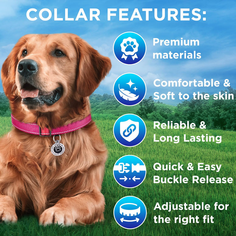 TECEUM Reflective Dog Collar – Hot Pink – XXS – Basic Nylon Pet Collar – Quick Release Buckle – Fits Small, Medium and Large Dogs, Puppies, Cats – ESA & Service Dog Options