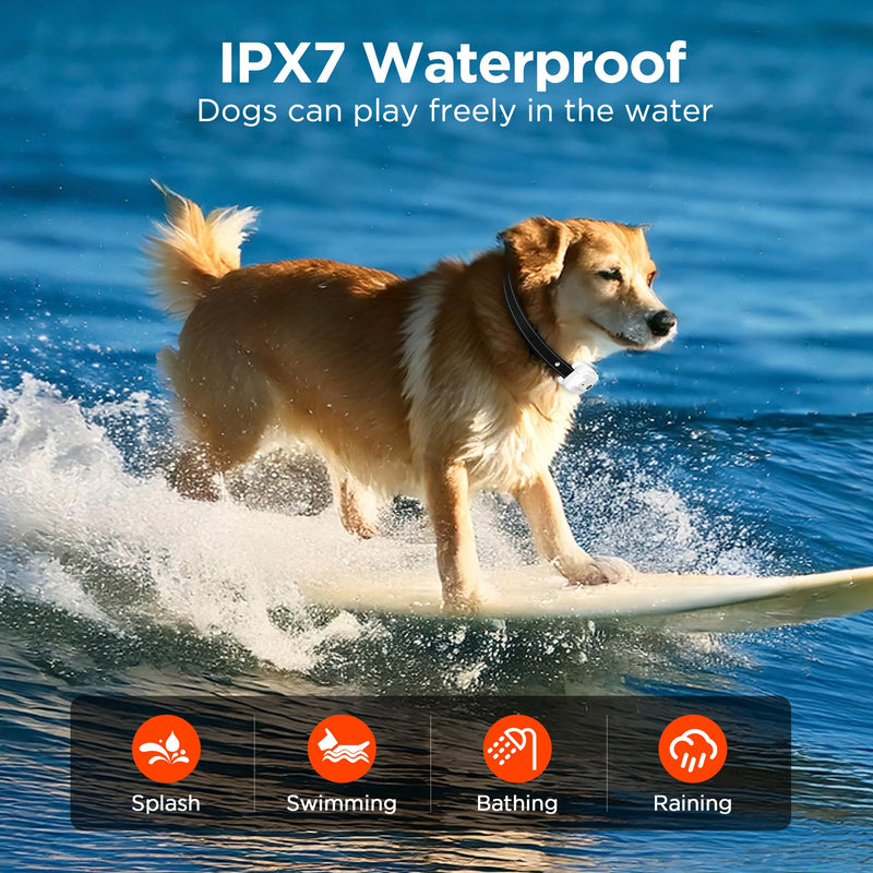 Dog Shock Collar,3300FT Dog Training Collar with Remote,IPX7 Waterproof Rechargeable Dog e-Collar with Beep,Vibration,Safe Shock,LED Light for Small,Medium,Large Dogs (8-150 lbs) - PawsPlanet Australia