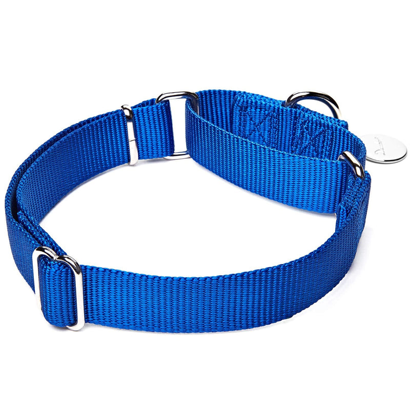 Martingale Dog Collar, Escape-Proof and No Slip Design, Heavy-Duty Nylon with Metal Buckle, Adjustable for Small, Medium & Large Dogs, Colorfast for Training, Daily Walks (Royal Blue, M) Medium: 14"-21" Royal Blue