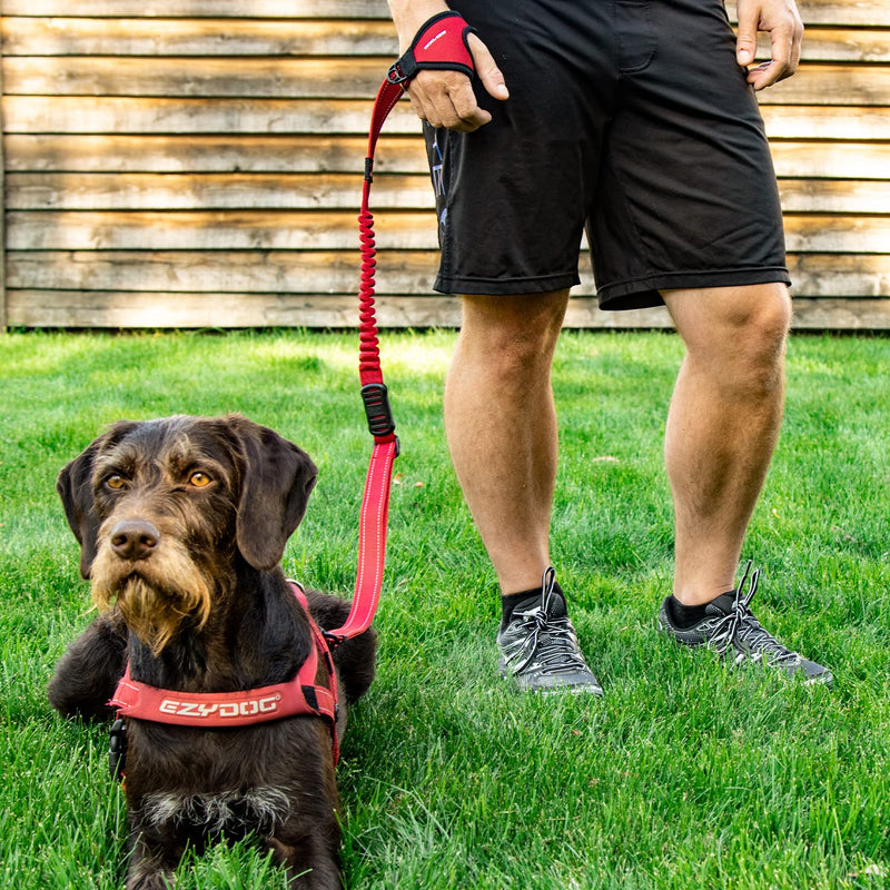 EzyDog Handy 48 Bungee Dog Leash - The Best Hands-Free Running Leash Training Lead with Superior Control and Reflective Stitching - Zero Shock Shock-Absorbing Technology (Adjustable 36” - 48”, Black) - PawsPlanet Australia