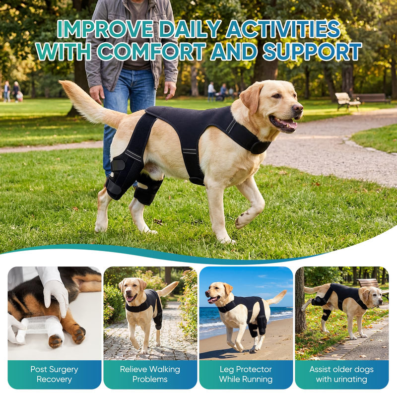 Dog Knee Brace for Back Leg Hind Leg ACL Dog Brace Support Adjustable Double Dog Leg Brace with Stabilizers, Helps with Torn CCL, Luxating Patella, Ligament Injuries,L L Black 1