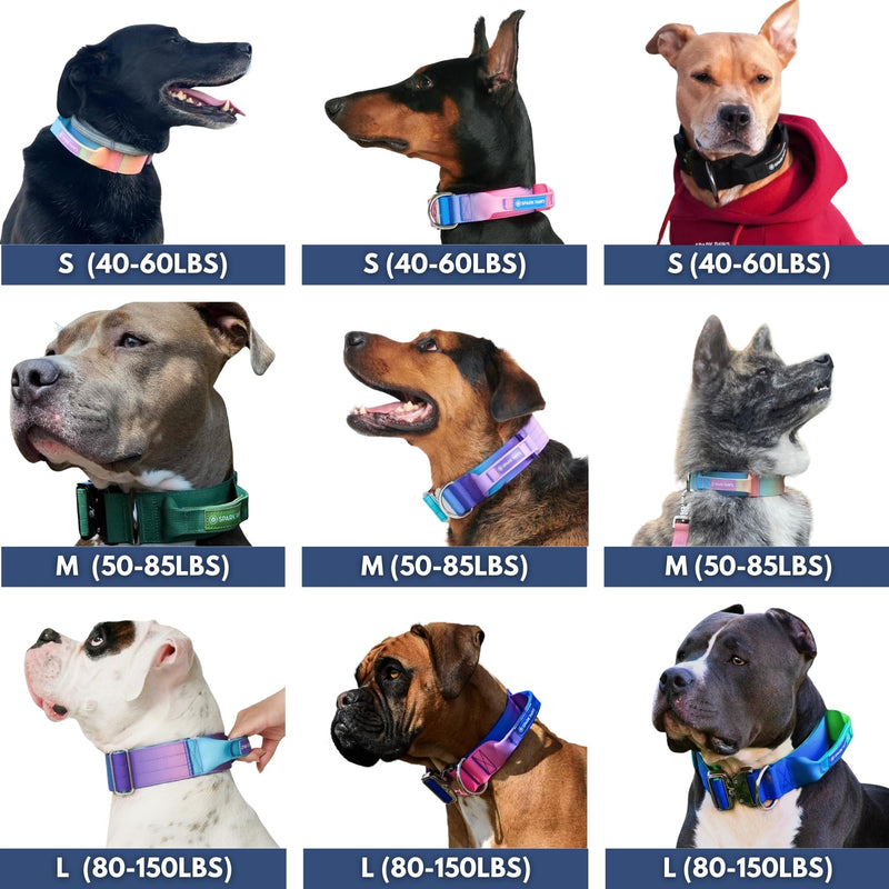 Spark Paws Tactical Dog Collar - Heavy Duty, Premium Quality, Thick and Durable for Large and Medium Dogs - Lime Wave - M M: 50-85 lbs [2" wide] - PawsPlanet Australia