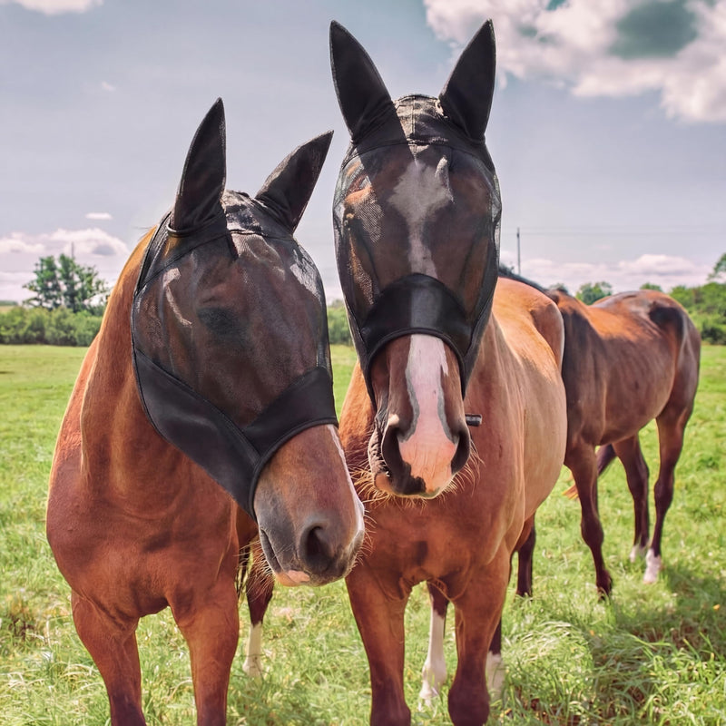 3 Pcs Derby Day Black Mesh Horse Fly Mask with Long Nose and Ears Derby Horse Accessories Smooth Elasticity Fly Mask with UV Protection for Racing Festival Competition