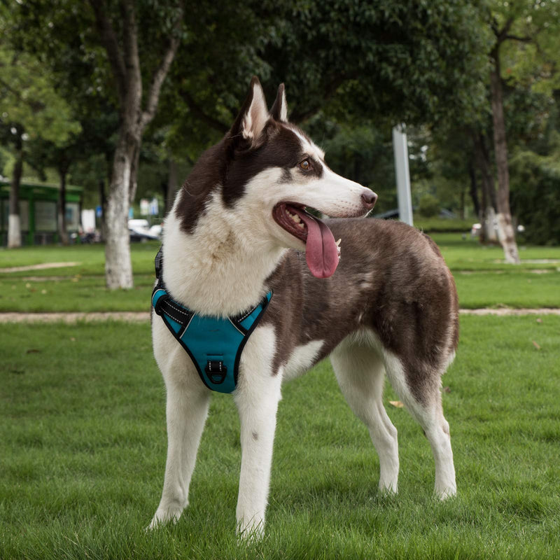 Coohom No Pull Dog Harness with Handle and Two Leash Attachments,Adjustable Outdoor Pet Harness with Reflective Oxford Material for Small Medium Large Dogs (XL, Blue 2022) XL - PawsPlanet Australia