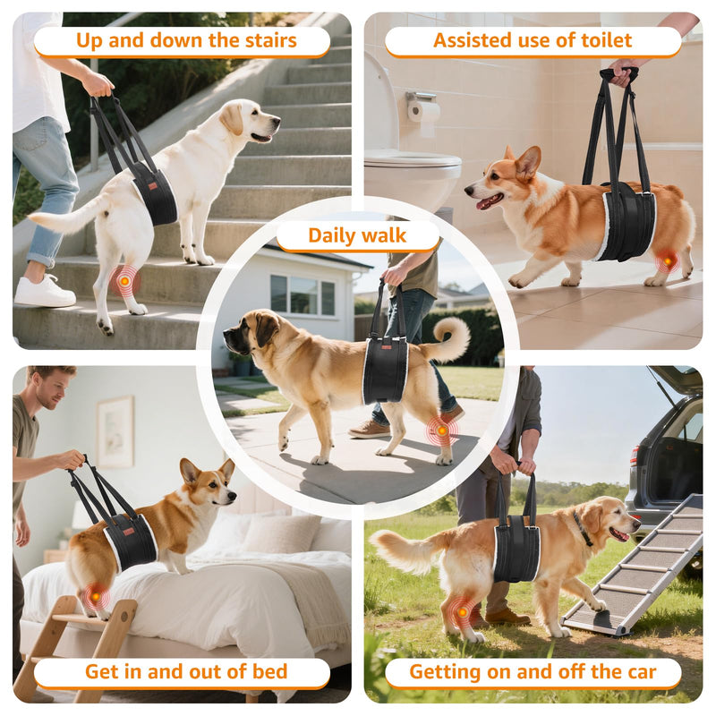 LOOBANI Dog Lift Harness for Back Legs, Portable Dog Sling for Large Dogs Hind Leg Support, Comfortable Leg Support Assistance for Elderly Dogs with Hip, ACL Brace, Senior, Injured - PawsPlanet Australia