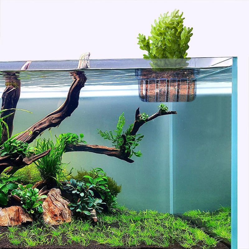 4 Pcs Aquarium Plant Holder,Hanging Fish Tank Plant Pot Aquarium Planter Cups,Suitable for Fish Tank Scene Arrangement of a Variety of Plants Hydroponics - PawsPlanet Australia