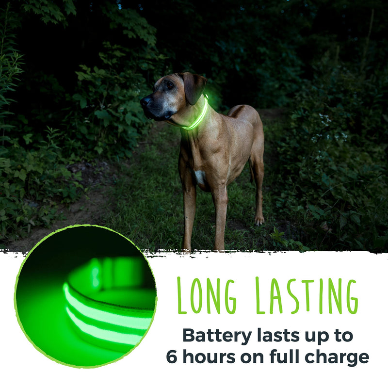 Mighty Paw LED Dog Collar - USB LED Rechargeable - USB Rechargeable Light - High Visibility Glow Strips - Glow Pet Weather Resistant - Enhanced Nighttime Visibility - Light Up Dog Collar - (L, Green) Large - PawsPlanet Australia