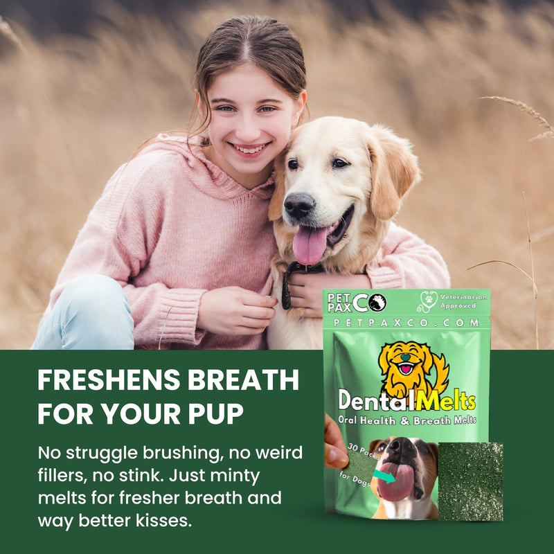 Dog Breath Freshener 5 in 1 – 30 Oral Strips – Natural Sage, Spirulina, Apple Cider Vinegar – Dogs Dental Care Products, Fresh Breath & Oral Hygiene Support – No Chew Dog Breath Mints 30 Strips - PawsPlanet Australia