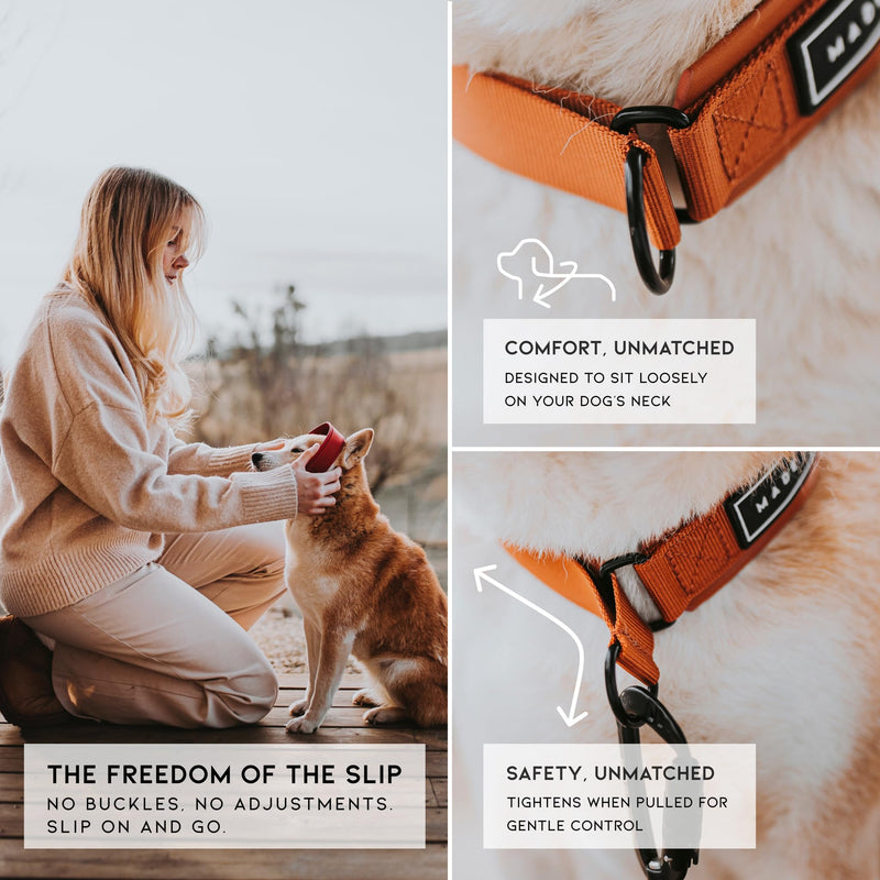 MADE TO ROAM Premium Everyday Dog Collar - Martingale Style No Pull Vegan Leather Collar, Heavy Duty and Lightweight for Small, Medium, Large Dogs (Oregon Haze, Size 1) Oregon Haze