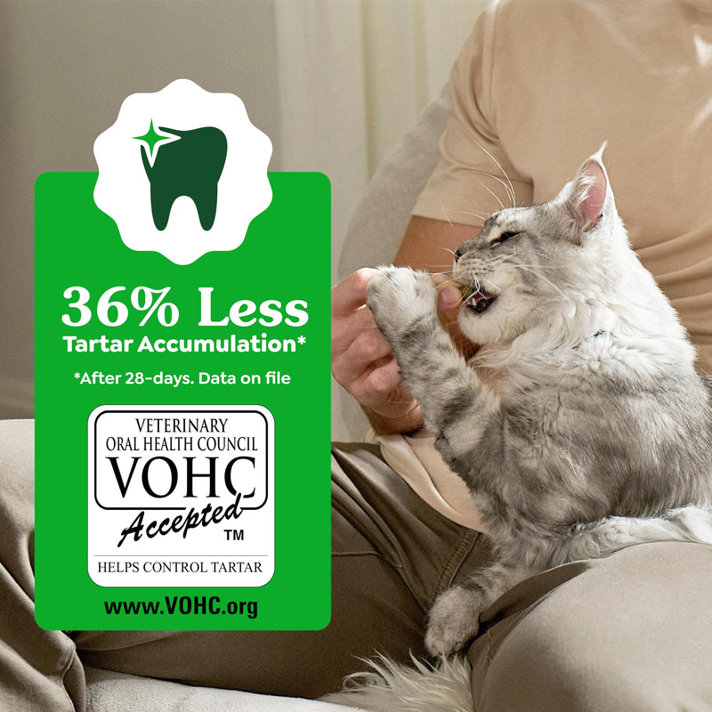 Greenies Cat Treats, Feline Veterinarian-Recommended Adult Natural Dental Cat Treats, Savory Salmon Flavor, 21 oz. Tub 1.31 Pound (Pack of 1) - PawsPlanet Australia