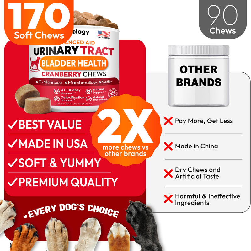 Dog UTI Treatment - 170 Cranberry Chews for Dogs - Urinary Tract Infection, Bladder & Kidney Health Multivitamin - Cranberry Supplement for Dogs with D-Mannose - Dog Vitamins and Supplements Chicken Cranberry Urinary Support - 170 Chews - PawsPlanet Australia