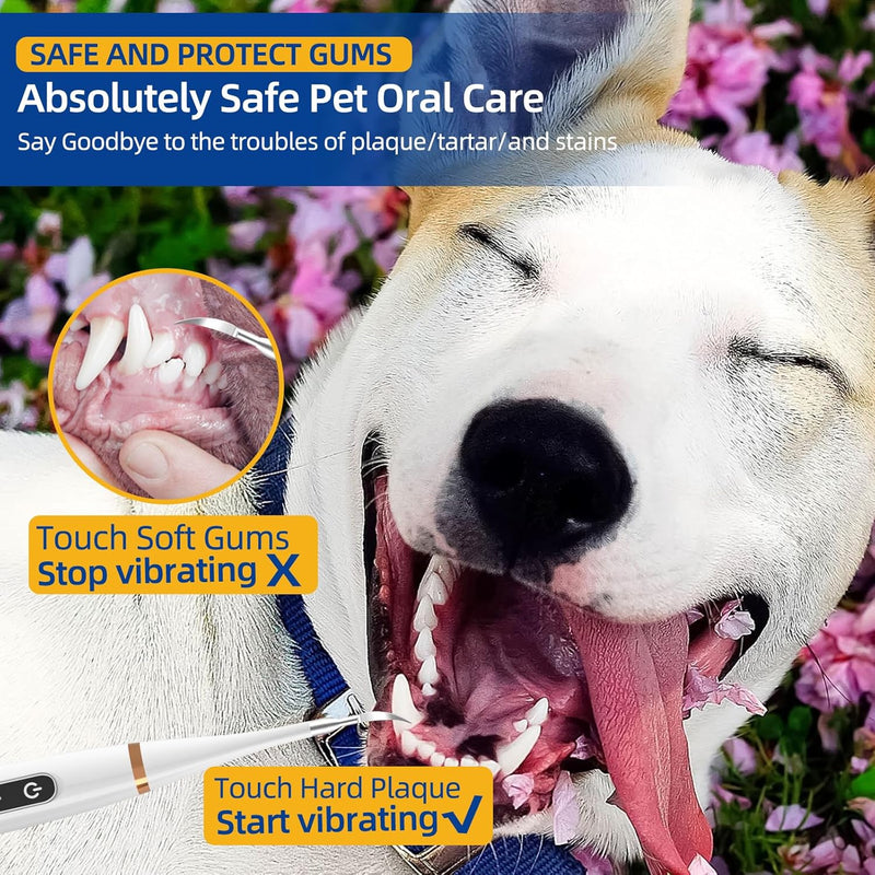 Hansaplast Plaque Remover for Teeth, Dog Teeth Cleaning, Dental Tools to Remove Tartar and Stains, Safe for Dogs & Cats, with Led Light & 5 Adjustable Modes (A-White) - PawsPlanet Australia