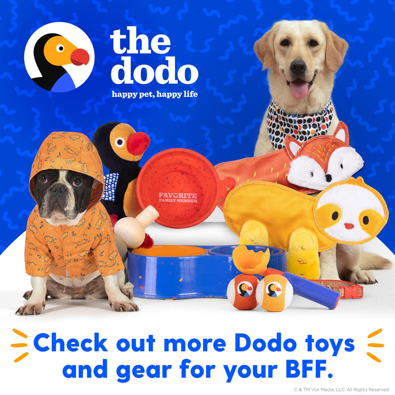 The Dodo Bungee Dog Leash, Blue - Easily Attaches to Any Dog Collar or Harness D-Ring - Two Length Options - Comfortable 4 Feet Walking Leash for All Dogs - PawsPlanet Australia