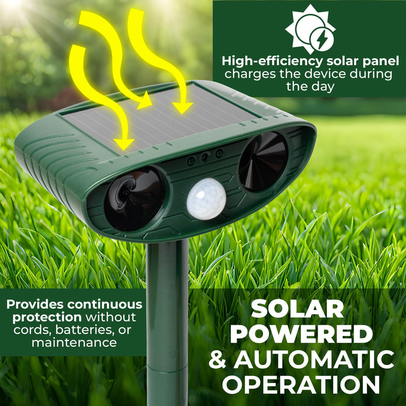 Upgraded Solar Ultrasonic Animal Repellent Outdoor (Pack 2pcs) - Cat Repellent Outdoor, Squirrel, Deer, Raccoon, Pest Repeller - Keep Skunk Away Motion Detection with Flash Light for Yard Garden Lawn 2 - PawsPlanet Australia