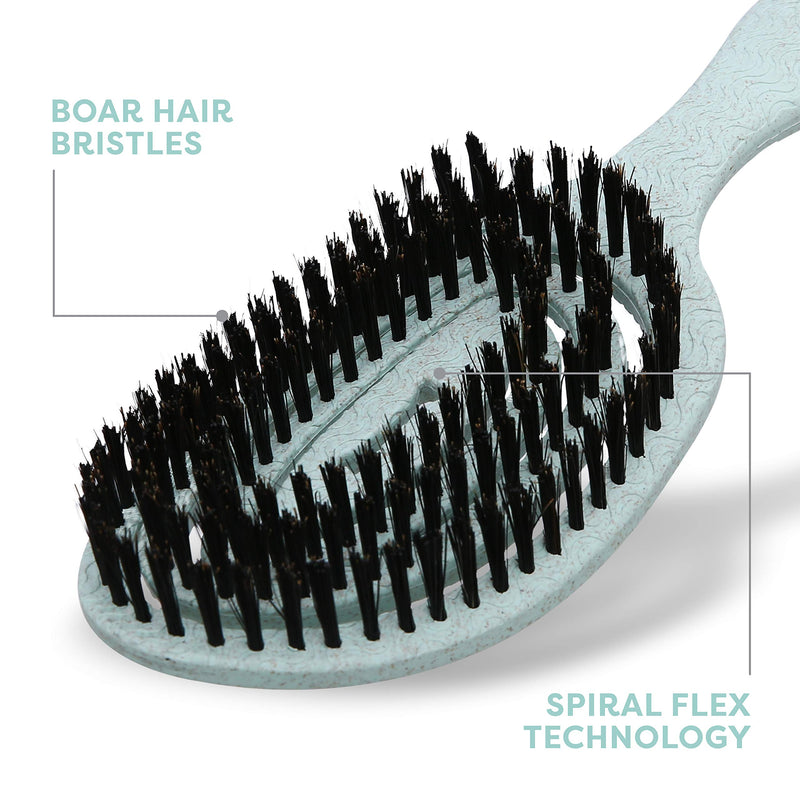 BioSilk for Dogs Eco-Friendly Boar Hair Bristle Brush in Mint Green | Easy to Hold Ergonomic Handle Dog Brush for Shedding | Best Pet Brush for Dog Grooming Blue 1 Count - PawsPlanet Australia