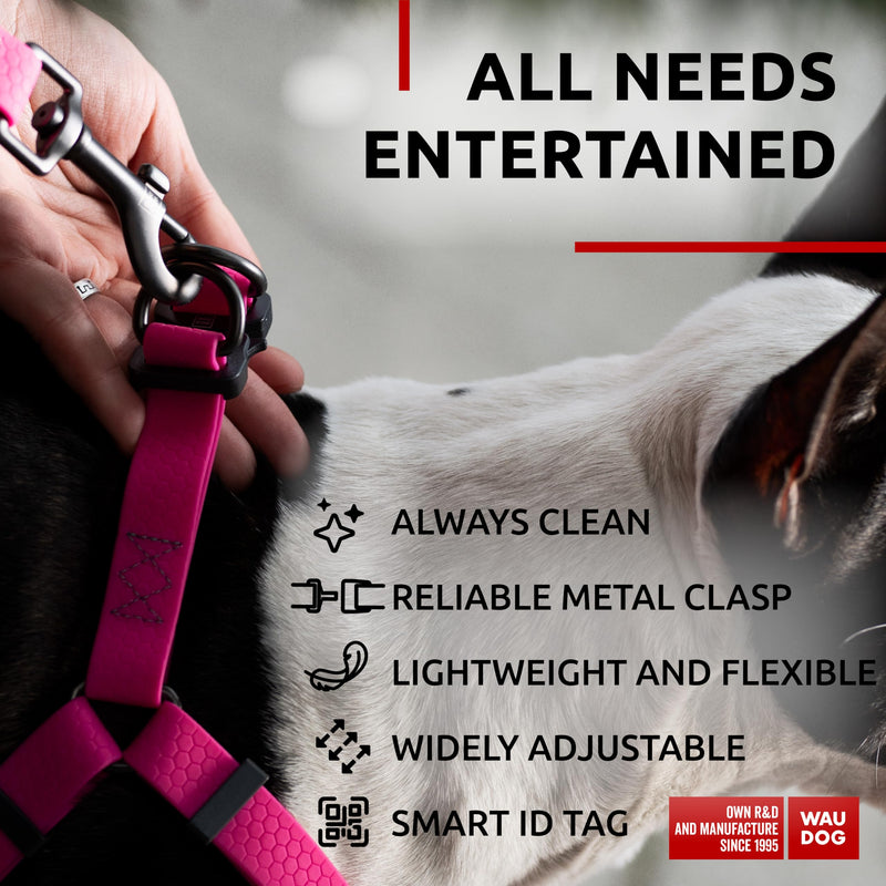 WAUDOG Waterproof Dog Harness and 6 Ft Leash Set - Adjustable, Heavy Duty with Durable Metal Clasp and QR Dog Tag Set: S (16-22") + Leash 6 Ft Pink - PawsPlanet Australia