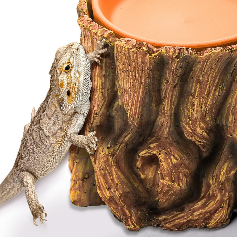 Reptile Hide Cave Resin, 2 in 1 Reptile Hideout Cave and Food Tray, Reptile Shelter with Detachable Food Bowl, Leopard Gecko Keeper Habitat Help Shedding for Amphibian, Snake, Lizard, Turtle - PawsPlanet Australia