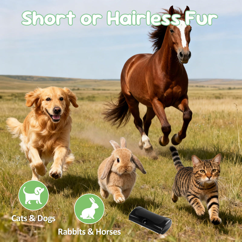 Deshedding Brush & Pet Hair Remover Comb for Cats, Dogs, Rabbits, Horses, Hamsters, Pet Grooming Tool with Stainless Steel Blade & Non-Slip Handle - PawsPlanet Australia