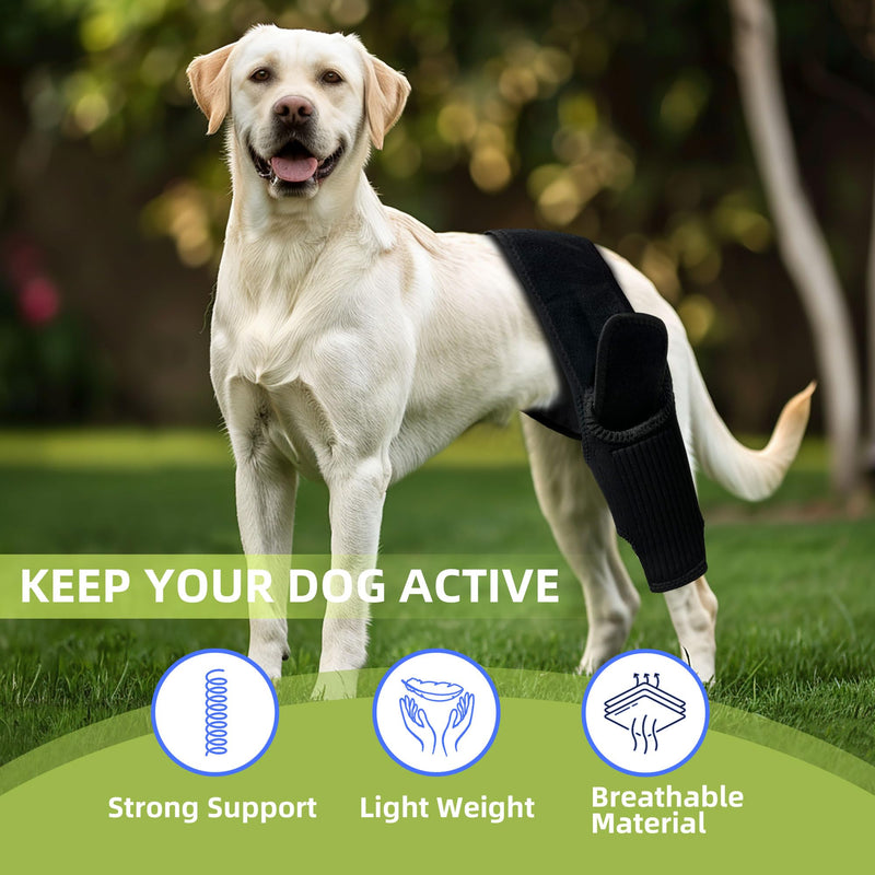 Dog Leg Braces for Back Leg Dog ACL Brace for Torn and Back Hind Rear Legs ACL Tear, Dog Leg Brace for Hip Dysplasia, Dog Arthritis, Luxating Patella(Size XL)