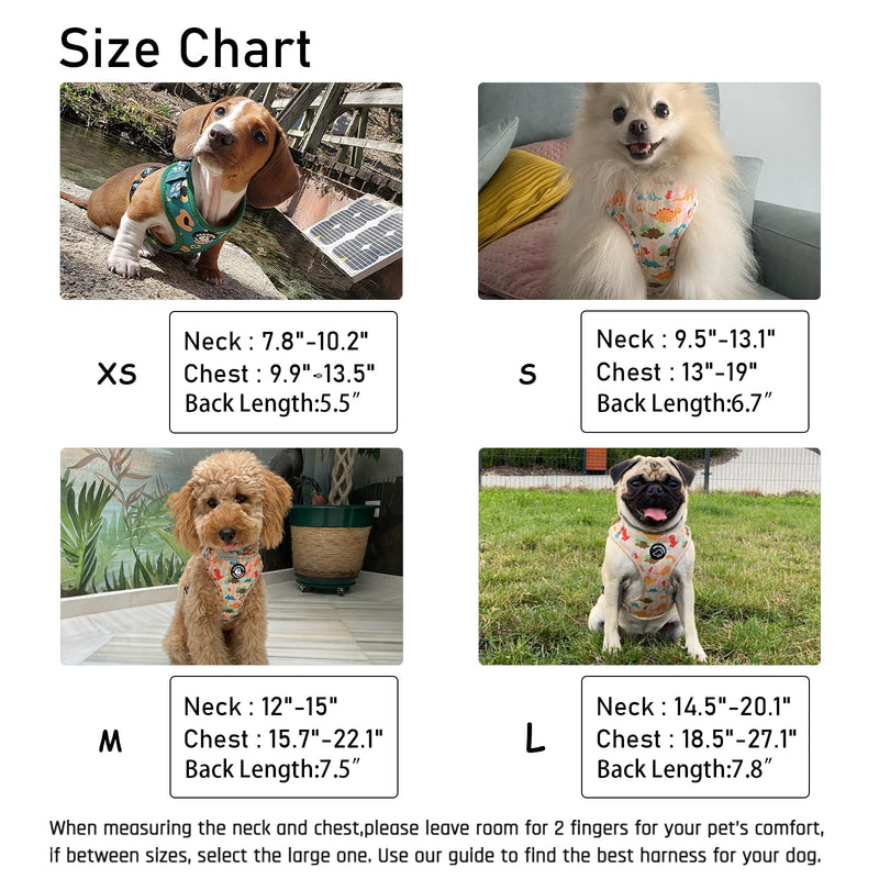 Dog Harness and Leash Set, Adjustable Dog Harness, Dog Leash, No Pull No Choke Puppy Harnesses for Walking Training for Small, Medium Pet (Little Love, S(Chest 14-19.6", Neck 10.6-13")) S(Chest 13 - 19", Neck 9.5 - 13.1") Little Love - PawsPlanet Australia