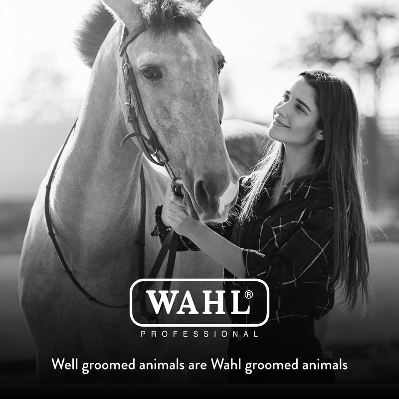 WAHL Professional Animal Equine Grooming Tool - Mane & Tail Brush (#858709-100) for Horses - Black - PawsPlanet Australia