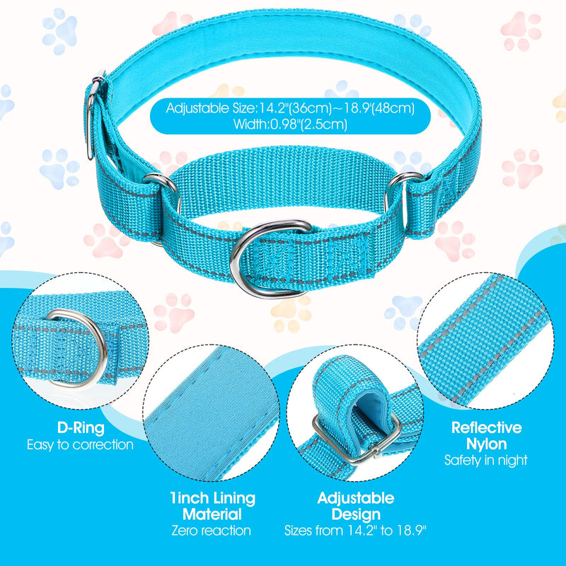 cobee 12 Pack Reflective Martingale Collars for Medium Dog, Adjustable Nylon Collar with Metal D Clip 12 Colors Pupplies Collar 14.2-18.9 Inch - PawsPlanet Australia