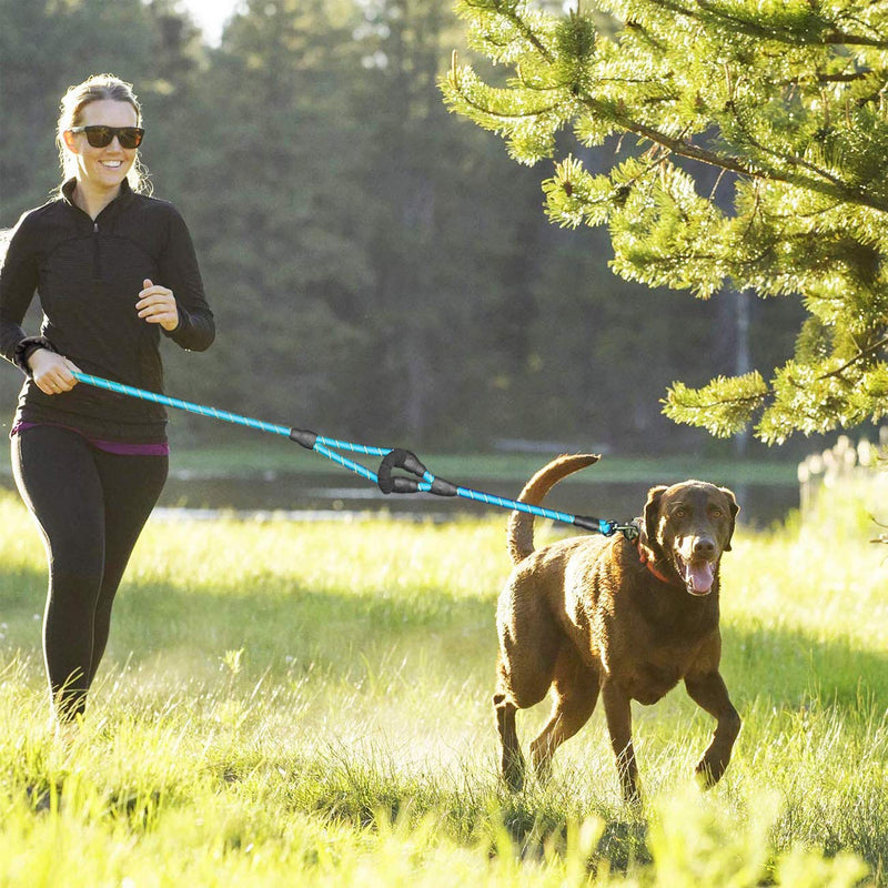 JSXD Heavy Duty Double Handle Dog Leash - 5 FT, Padded & Reflective, Rope for Small to Large Dogs (Blue) Rope-Blue - PawsPlanet Australia