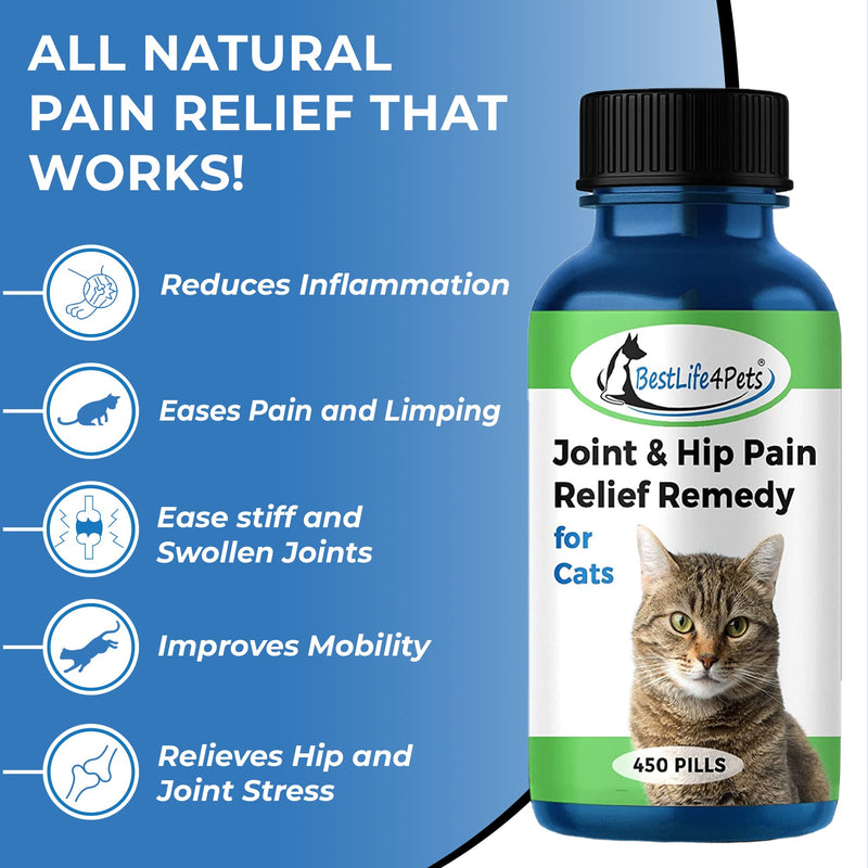 BestLife4Pets Cat Hip and Joint Supplement - Relief from Pain, Inflammation, and Injuries - Improve Mobility - No Odor or Taste - All Natural Easy to Use and Swallow - Pills