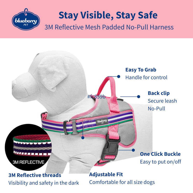 Blueberry Pet Pink Dog Harness - Award Winning Medium Sized No Pull Dog Harness with Handle, Reflective Vest for Safety-Conscious Urban & Outdoor Enthusiasts, 3M Night Visibility Emerald,Orchid and Pink - PawsPlanet Australia