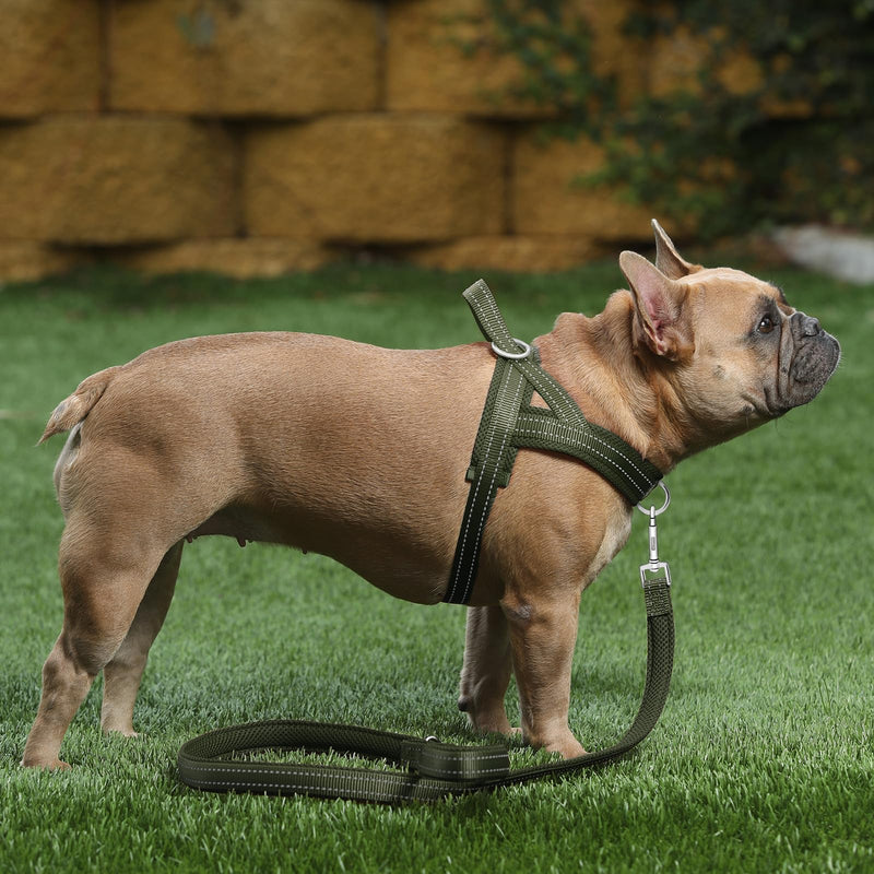 Plutus Pet No Pull Dog Harness with Breathable Mesh Padded, Adjustable Reflective Escape Proof Dog Harness, Quick Fit Dog Vest Harness for Small Medium Large Dogs(M, Ranger Green) M: chest 19.7"-25.2" - PawsPlanet Australia