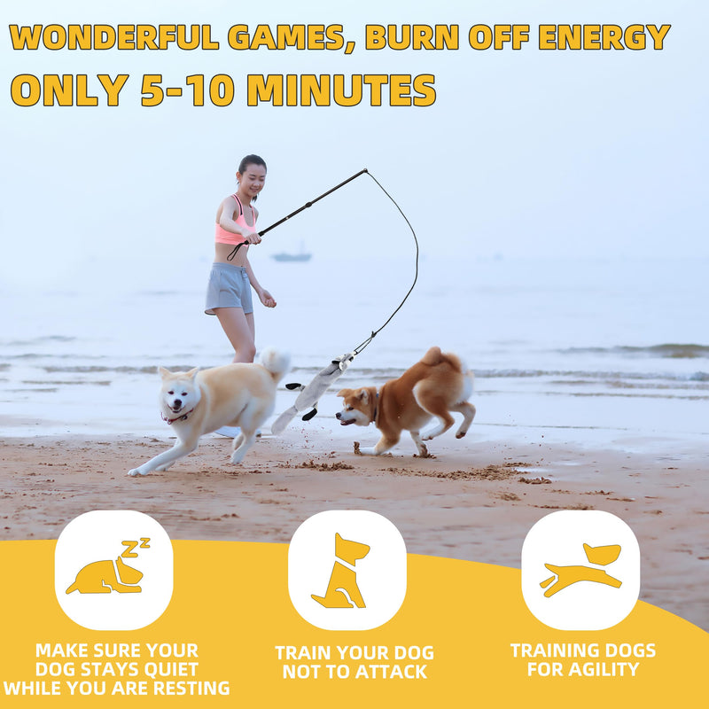 Flirt Pole Dogs, Dog Chase Toy with Squeakers Inside, Dog Fishing Pole Toy for Large Medium Small Dogs to Keep The Dog Entertained and Physically Exhausted, Rope+Beaver, L - PawsPlanet Australia