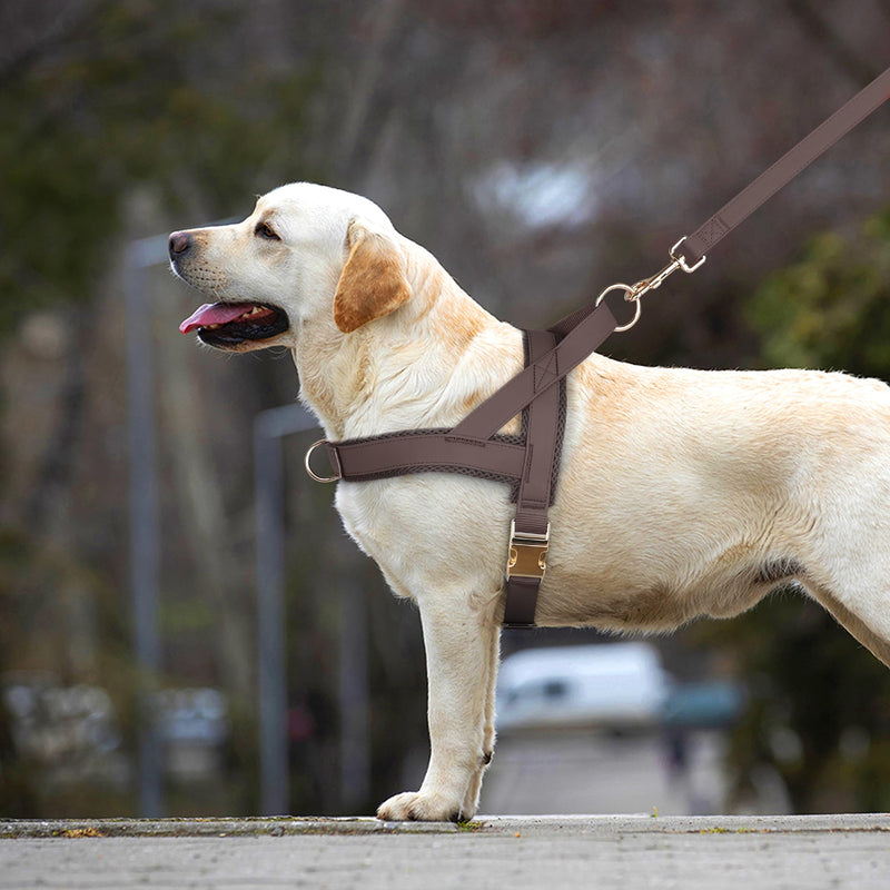 PET ARTIST No Pull Dog Harness, Soft Padded PU Leather Step in Dog Harness with Quick Release Metal Buckle, Adjustable Quick Fit Pet Strap Vest Harnesses for Medium Dogs Walking Training,Chest 22-27" M:Chest 22-27" (28.5-49.5lbs) Brown - PawsPlanet Australia