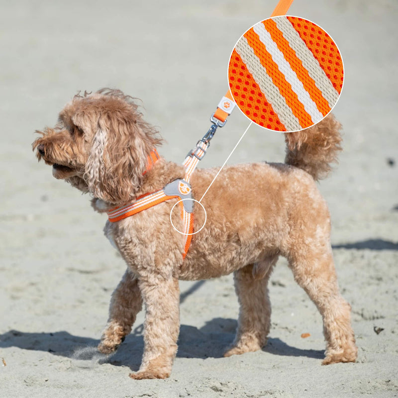 HUGO & HUDSON Easy Walk Dog Harness, Adjustable Quick Dry No-Pull Pet Harness, Orange, Size 2 - PawsPlanet Australia