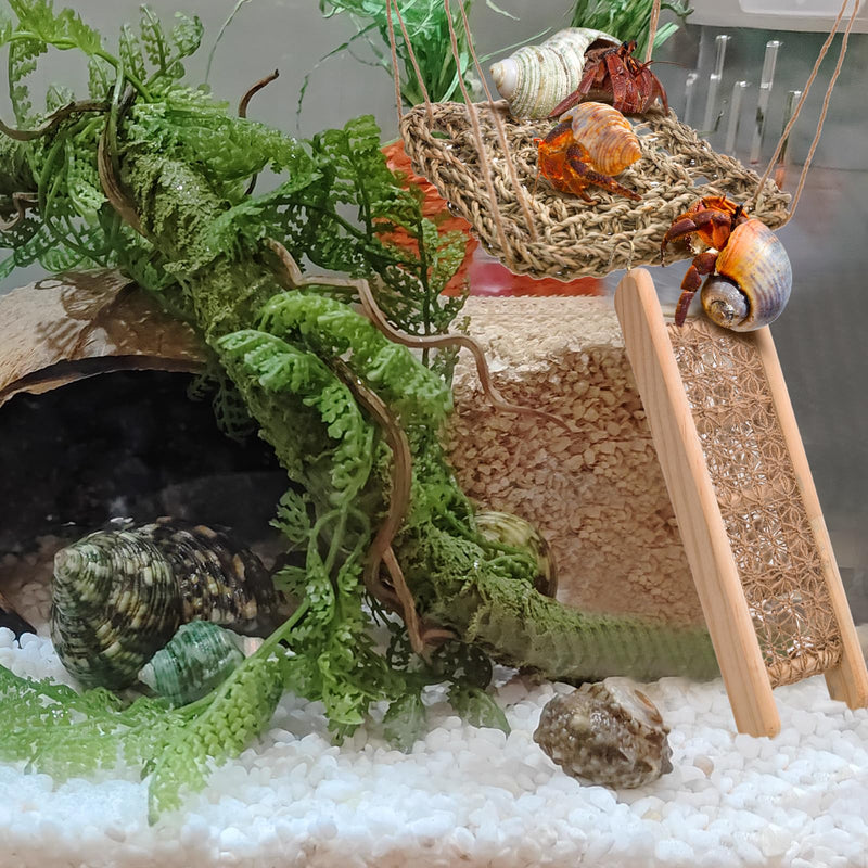 Hermit Crab Toys, Seagrass Hammocks and Hermit Crab Ladder Bridges Set with Small Brush, Hermit Crab Accessories are Perfect Decorations and Accessories for Aquariums and Tanks. Small Pet Safe - PawsPlanet Australia