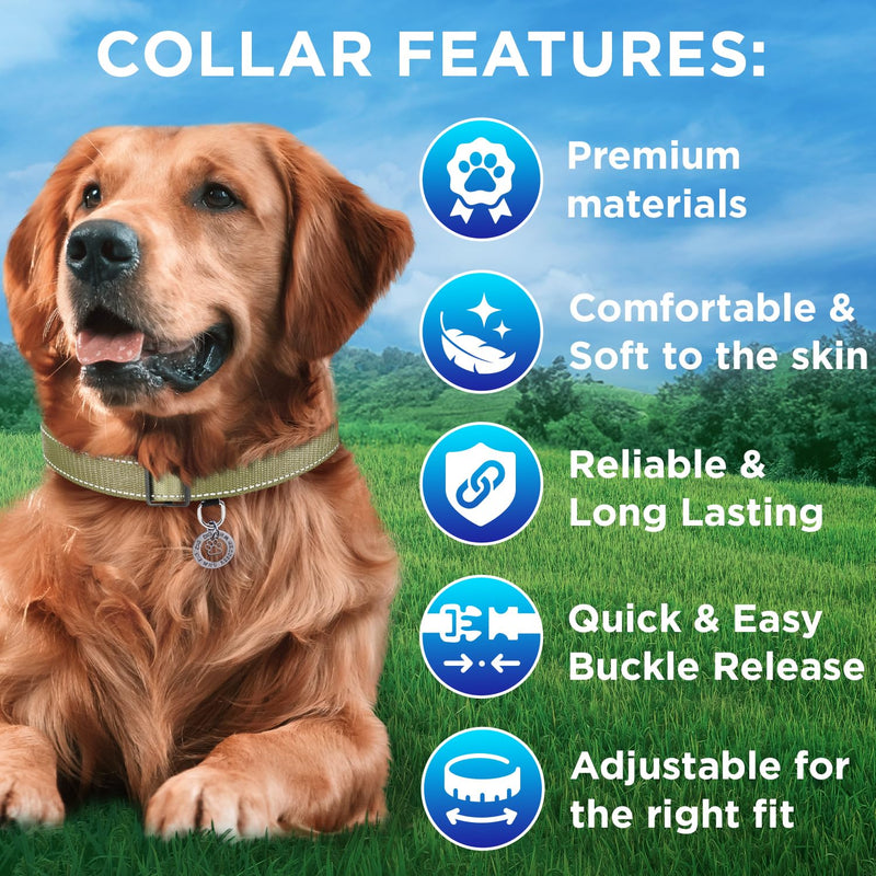 TECEUM Reflective Dog Collar – Olive – XXS – Basic Nylon Pet Collar – Quick Release Buckle – Fits Small, Medium and Large Dogs, Puppies, Cats – ESA & Service Dog Options