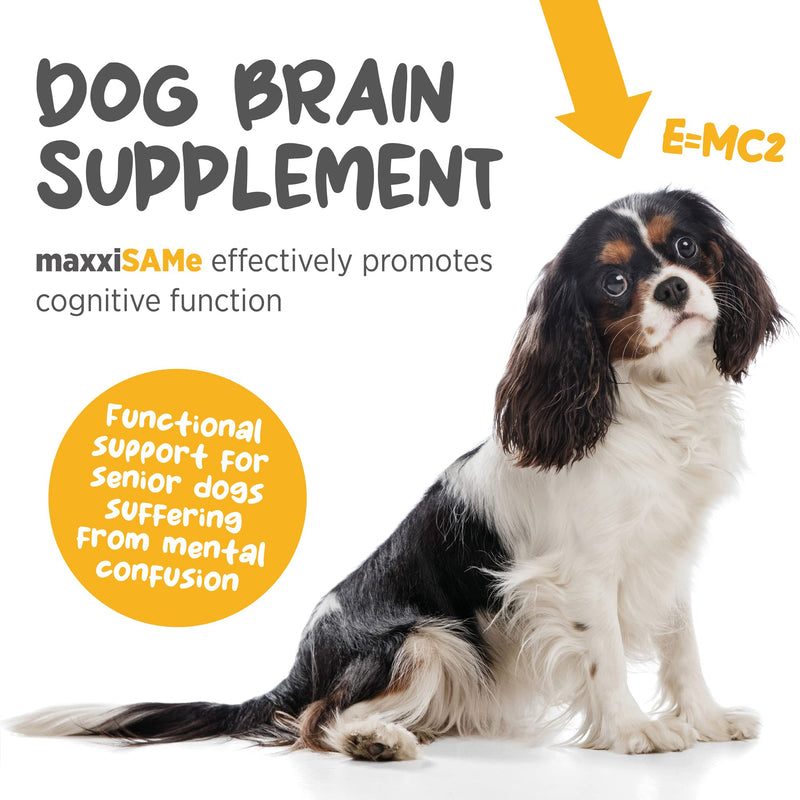 maxxiSAMe Sam-e Supplement for Dogs - Dog Liver and Cognitive Brain Support - Given with Food Powder 5.3 oz