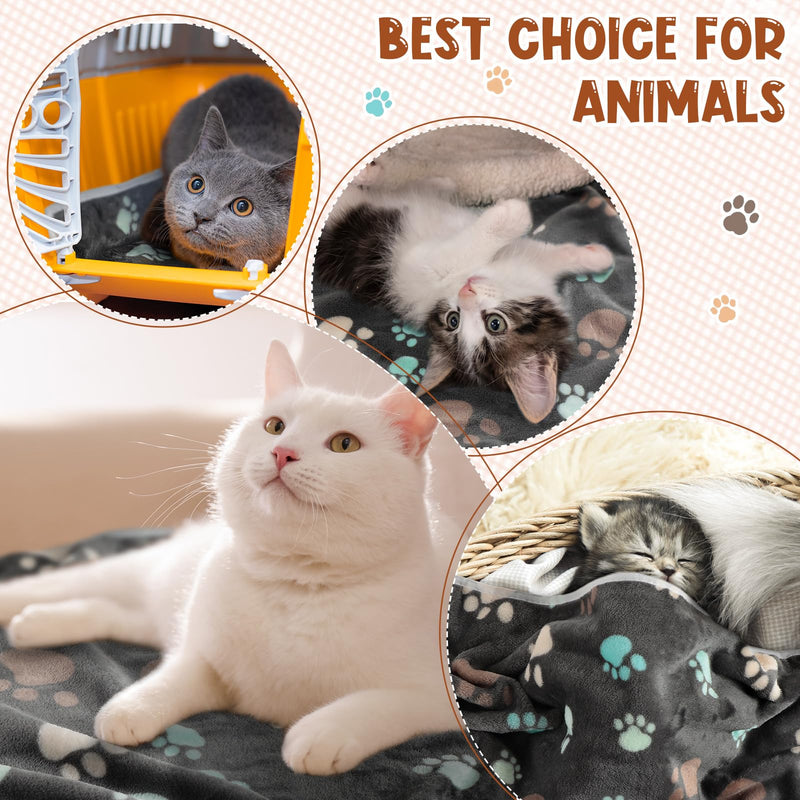 Tegeme 8 Pcs Fleece Dog Blankets for Small Dogs Cat Soft Coral Velvet Warm Sleep Mat Fluffy Dog Paw Print Blanket for Kitten Doggy Small Animal(30 x 20 Inch,Dark) 30 x 20 Inch Dark - PawsPlanet Australia