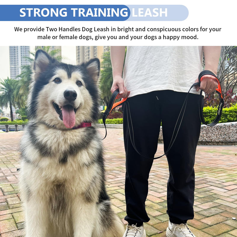 Strong Heavy Duty Dog Leash - 6ft Reflective Nylon Training Leash with Soft Padded Double Handle & Auto Lock Frog Clip - Safety Traffic Control for Medium Large Small Dogs No Pull Walk BlackOrange,6ft 6FT x 1" x 2.8MM Black Orange - PawsPlanet Australia