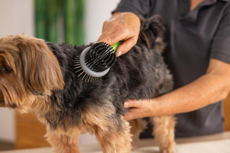 Wahl 2999-7025 Double-Sided Grooming Brush, Pack of 1 Green