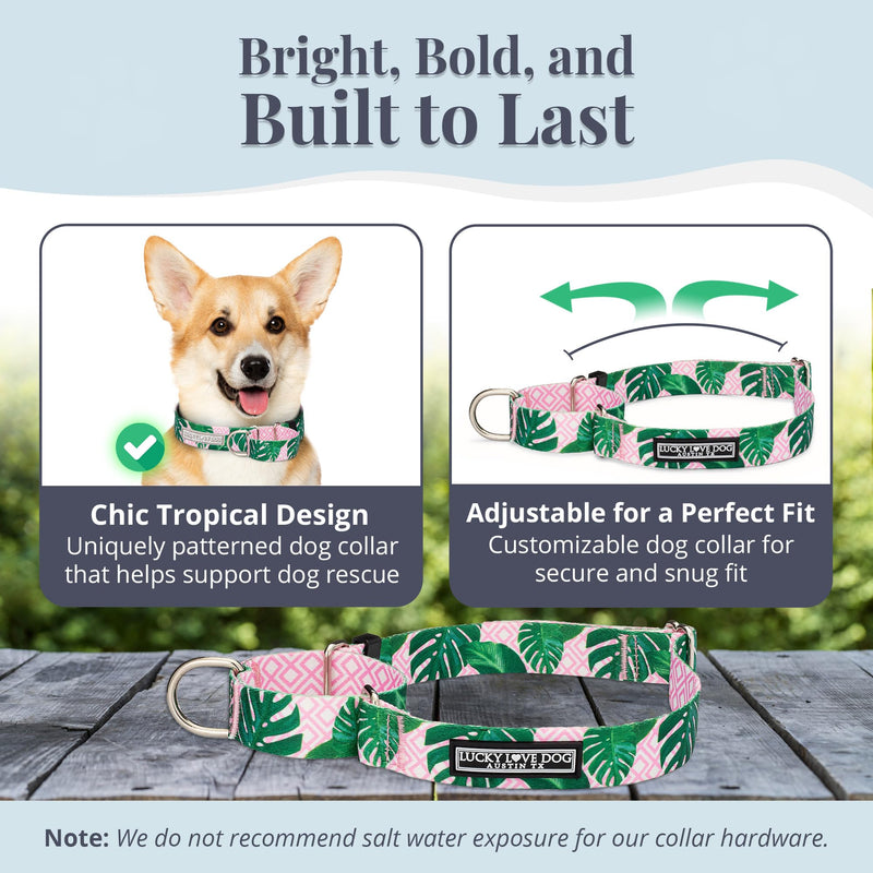 Lucky Love Dog Martingale Dog Collar - Adjustable, No-Slip, Comfortable, Durable, Soft Webbing & Stylish Patterned Collar for Male and Female Dogs Ideal for Training & Walking - Laguna, Small Small Collars (10-15") - PawsPlanet Australia