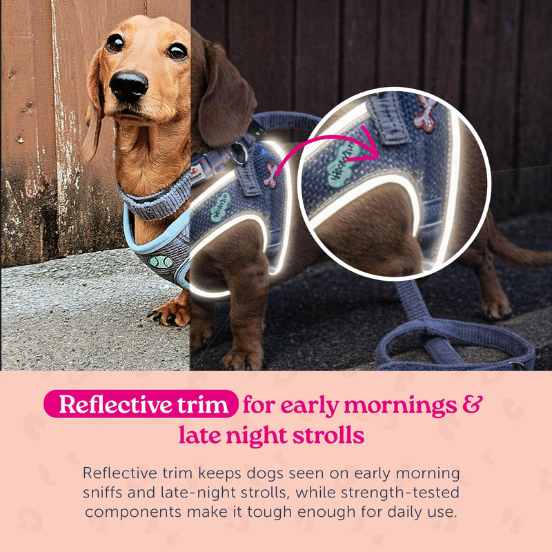 Doodlebone - Dinky Dog Snappy Harness - Step In Vest Style Harness for Small Dogs and Puppies, Lightweight Breathable Fit with Reflective Trim, Secure Fastening - Size 1-2 - Blue Cord - PawsPlanet Australia