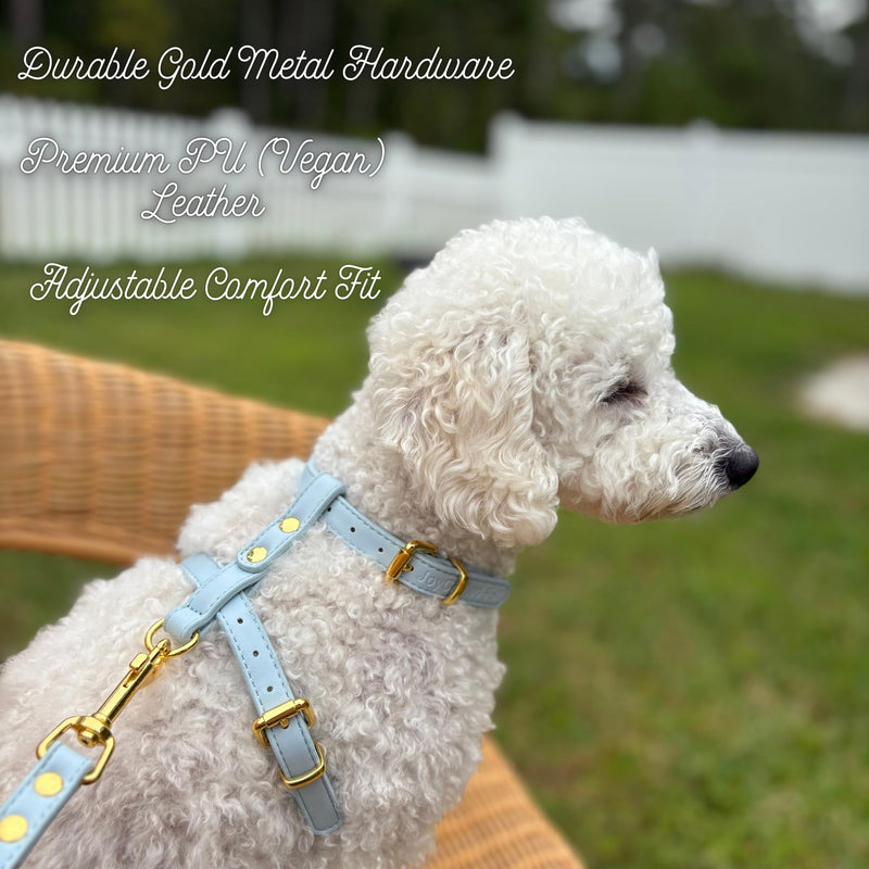 Luxury Dog Harness and Leash Set, Adjustable Padded Pet Harness for Small, to Large Dogs, No Pull H-Shaped Design with Handle, Premium Comfort and Control, Stylish Blue(S) Dog Harness. Small (S) - PawsPlanet Australia