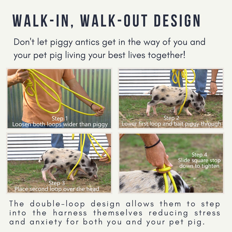 Pig Harness Leash-Fully Adjustable Pig Leash Harness for Small & Medium Pigs-Easy Step in Harness-Infinity Style Pet Pig Leash-Durable & Gentle Mini Pig Harness-Mini Pig Supplies (Small-Mauve Pink) Mauve Pink - PawsPlanet Australia