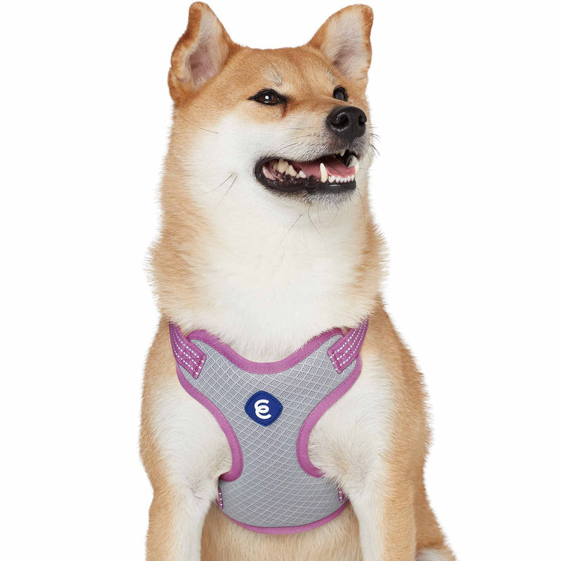 Blueberry Pet Essentials Back to Basics Reflective Dog Harness Vest, Mauve Orchid, Small, Adjustable Harnesses for Dogs Small (Pack of 1) - PawsPlanet Australia
