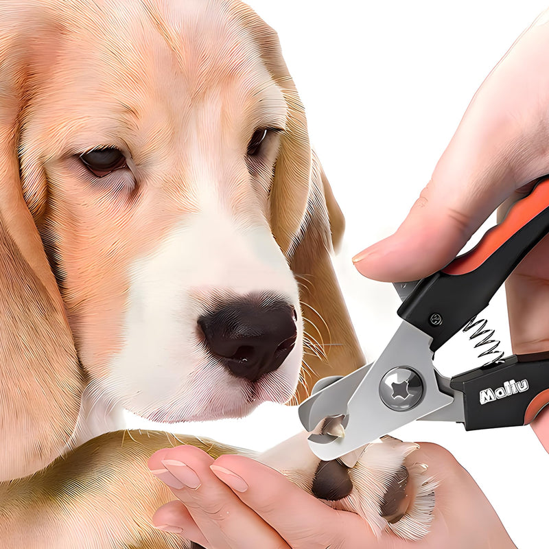 Dog & Cat Nail Clippers, Pet Nail Clipper and Trimmer with Safety Guard to Prevent Over Cutting, Grooming Razor Sharp Blades with Nail File for Small, Medium, Large Breeds, S Red - PawsPlanet Australia