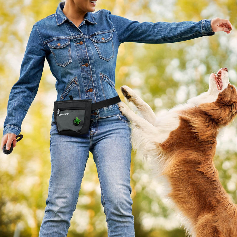 Dog Treat Pouch and Training Clicker, Upgrade Two Magnetic Closure to Prevent Spills, 2 Cup Treat Bag with Poop Bag Dispenser, Metal Clip Waist Belt Fanny Pack for Pet Walking (Black/Gray) Black/Gray - PawsPlanet Australia