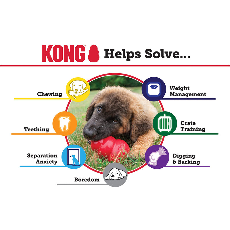 KONG - Puppy Toy Natural Teething Rubber - Fun to Chew, Chase and Fetch - for Large Puppies - Pink - PawsPlanet Australia