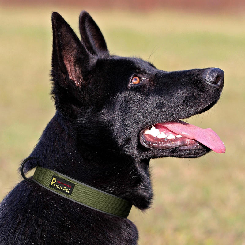Plutus Pet Tactical Dog Collar, Reflective, Adjustable Heavy Duty Dog Collar, Soft Padded and Comfortable, for Small Medium and Large Dogs (Ranger Green, S) Ranger Green - PawsPlanet Australia