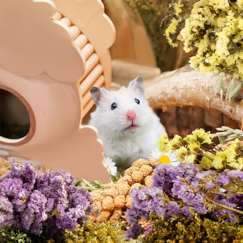 Sukh Herb Bedding Habitat Decor - Natural Flower Habitat Decor Natural Hamster Bedding Mate Natural Hamster Sprays Hamster Cage Decor for Guinea Pig,Dwarf Hamster,Golden Bears Or Other Small Pets - PawsPlanet Australia